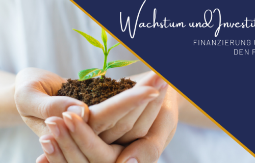 Wachstum Finanzierung